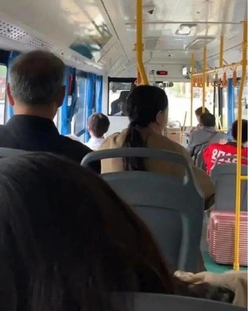 图集 当女生在公交车上看到帅气的背影...