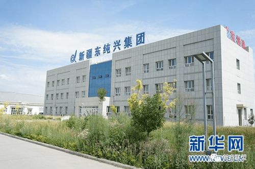 福建泉州众兴文化发展有限公司厦门分公司怎么样？