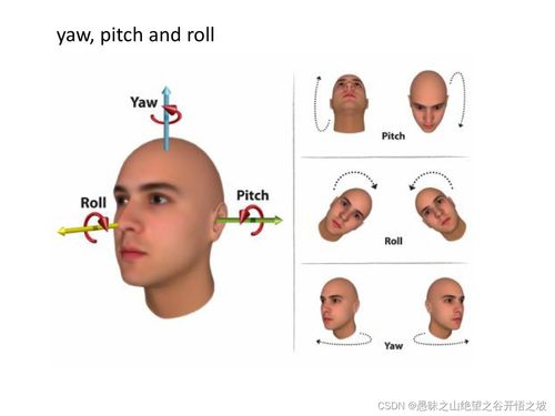 人脸识别5.2 insightface人脸3d关键点检测,人脸68个特征点 106个特征点 人脸姿态角Pitch Yaw Roll