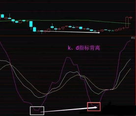 高手说的在股市上编写自己的简单选股公式，怎么编啊？能告诉我点吗？请高手回答