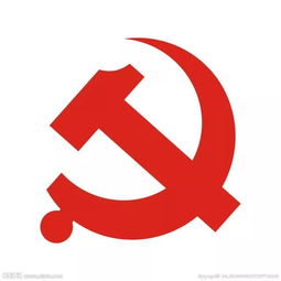 党章 如何定义共产主义青年团 党徽党旗啥范围内可使