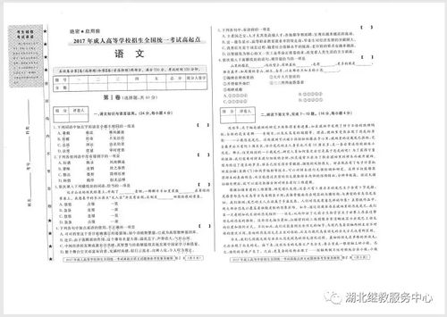 湖北中医药大学论文查重