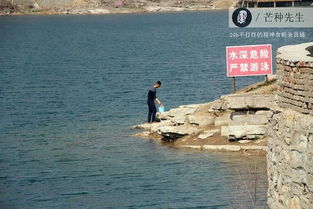 如此清澈的水库,钓鱼爱好者纷纷来这里 