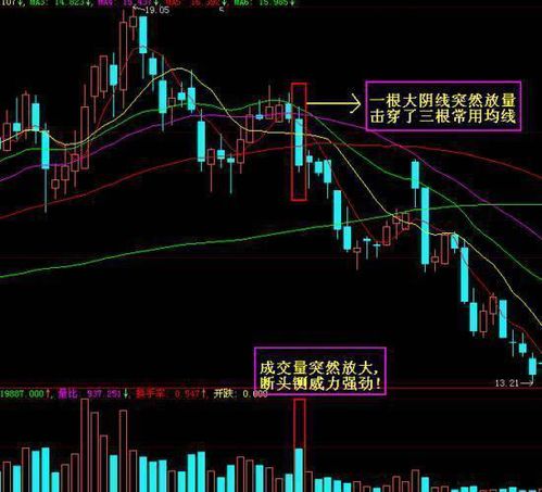 炒股成功的人共同特征是什么？