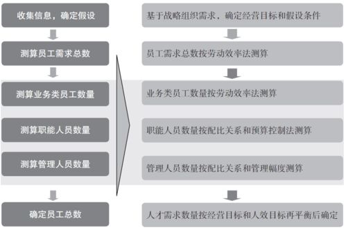 实操 如何测算公司人员编制数量 附案例