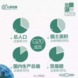 g20，b20，t20，c20各代表什么？英文原文是什么