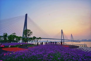 什么是武汉,桥 桥 桥