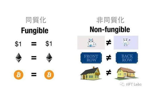 十七个非同质化代币,同质化代币和非同质化代币