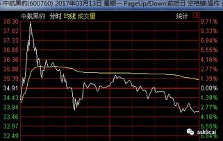 ST黑豹这个股票是什么公司的，具体做什么的啊?