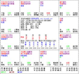 这个紫微斗数星盘怎么看 