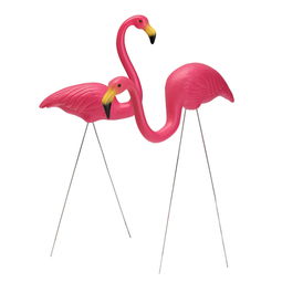 Flamingo,lawn flamingo什么意思