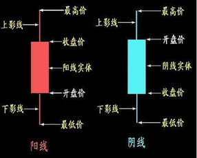 如何看K线图的，哪个网站有视频教程讲解？