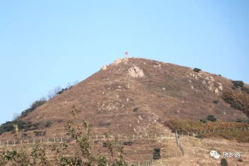 在五莲,户部玉带村北山上的那片苹果等你来 