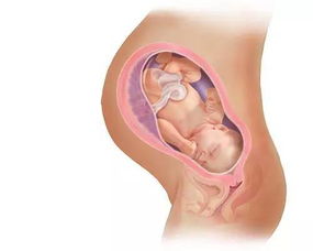 原创孕晚期如何判断胎儿入盆了？身体的这3种变化会告诉你，别忽视了
