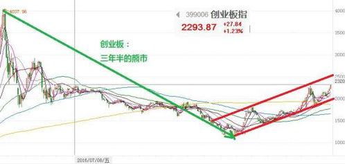 为什么每轮牛市总是未被炒过的次新股总