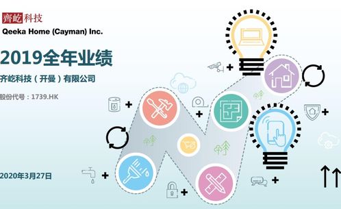 齐家网2019年度财务报告