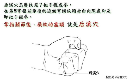 通背奇手.pdf