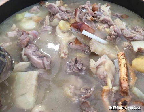 广东的 龙虎凤 为什么称为天下第一汤 食材超乎想象,怕了怕了