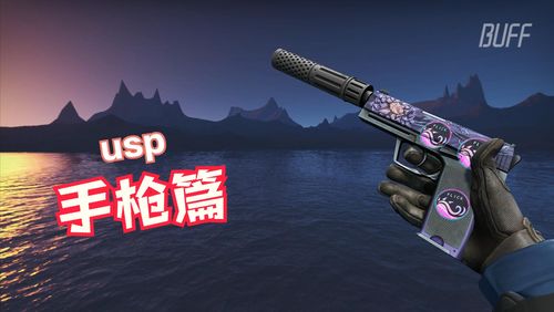 csgo饰品推荐 个人推荐usp手枪篇