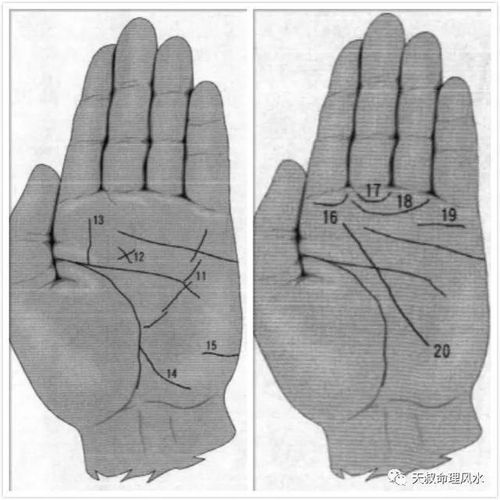 手相图解基础知识,让你快速了解手掌中的奥妙 干货推荐收藏 