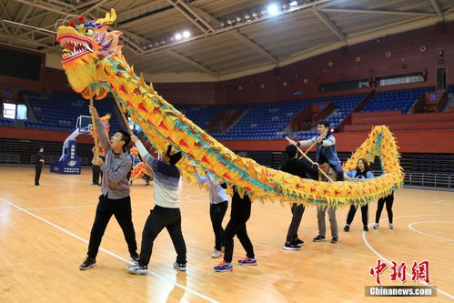 大学选修课舞狮舞龙考什么