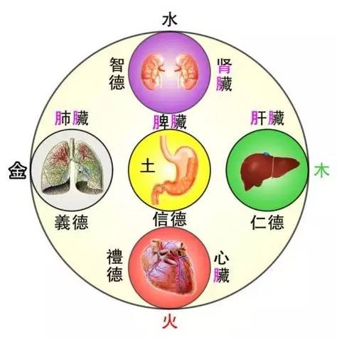 女人,你不懂中医五行,用什么化妆品都没用