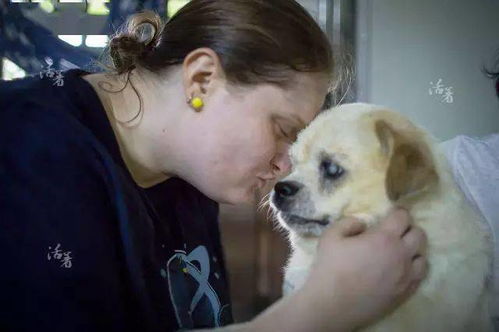 她放弃美国高薪offer,回广州建立流浪狗之家,拯救了数十条狗狗的生命