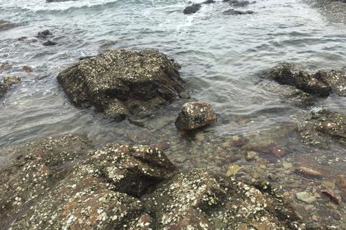 北海旅游系列 情侣必来打卡旅游胜地,海枯石烂的那些事儿