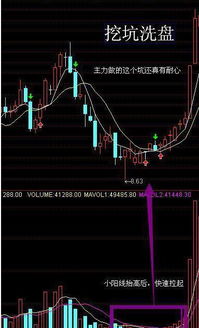 请各位高手帮我看看002213特尔佳的日K线图，是出货还是洗盘？