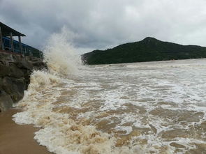 梦见大风大浪大雨什么意思(梦到大风巨浪)