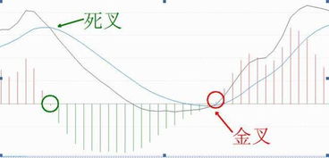 请问老师股市中的OBL.MA.MACD.KDJ各代表什么.请解答谢谢