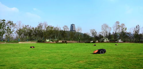 苏美达虚拟边界草坪机器人闪耀徐州园博园