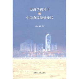 经济学视角下的中国农村城镇迁移 