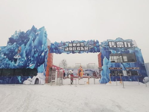 呼和浩特城中极地冰雪动物狂欢乐园嗨爆全场