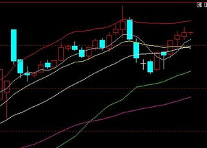 期货的行情走势要怎么看未来的走势啊？请高人指点一下.