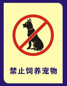 杭州一小区物业禁养宠物 物业 无奈之举 