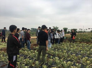 桑黄适合什么地方种植,广东省最大桑黄种植基地？