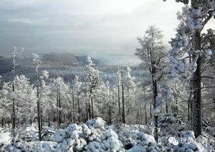 多人人物简介范文;林海雪原人物排名？