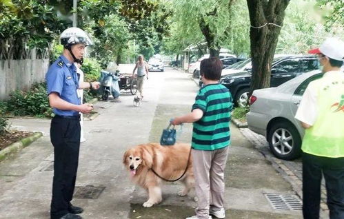 宁波开出首批不文明养犬罚单 联合整治今天全面升级