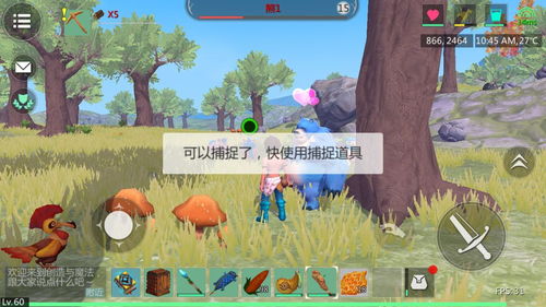 创造与魔法宠物怎么得 创造与魔法宠物玩法介绍