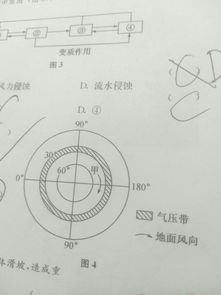 北半球常见星座的辨认