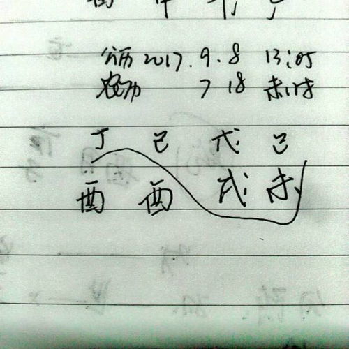 宝贝2017 9 8号中午13点05分出生,姓林,本命缺木,带水较好,求帮忙起个 