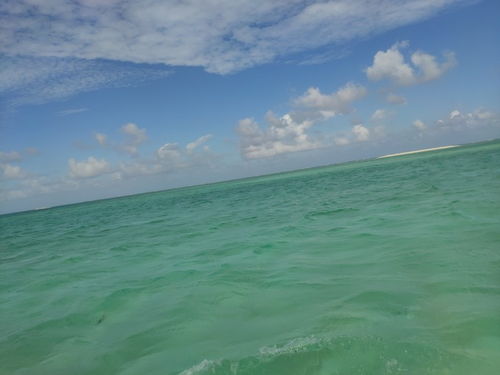 为什么选马尔代夫旅游 马尔代夫和西沙群岛哪个更漂亮（马尔代夫的沙滩为什么是白色的）