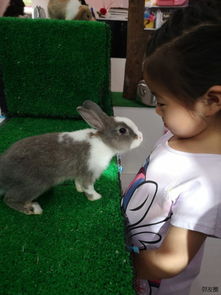 小兔子 生活杂谈 邻友圈 