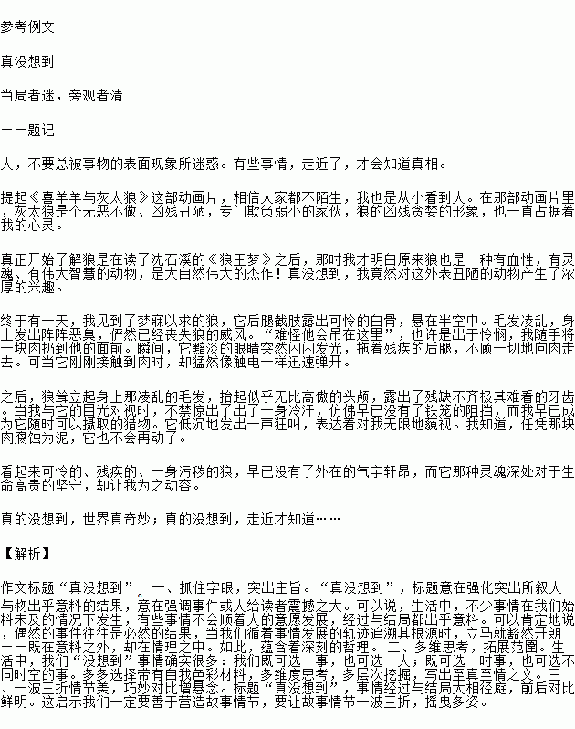 《没想到，真没想到》的作文1000字