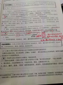 刑法关于恐怖分子犯罪类毕业论文