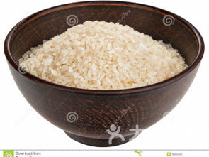 rice是不可数的还是可数的