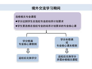 本科生海外交流项目有用吗