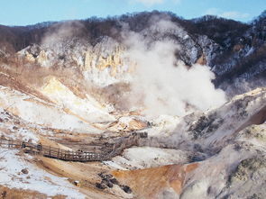 泰山之魂，游泰山结尾怎么写