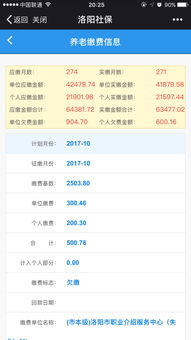 怎么查询灵活就业养老保险缴费年限(灵活就业养老保险查询信息)